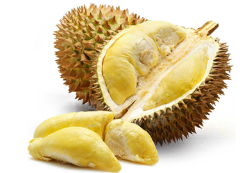 Durian Runtuh