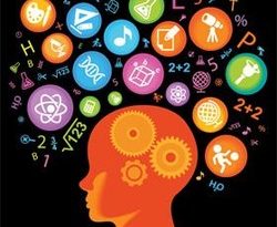 Organizing Knowledge, The Important Part That Trainer Must Do