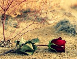 Jangan Timpakan Musibah di Atas Musibah