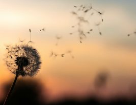 Jangan Tuhankan Kerja Kerasmu dan Kehebatan Timmu