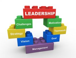 Membangun Tim Dengan Collaborative Leadership
