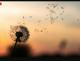 Surga Untuk Mereka Yang Tahan Uji