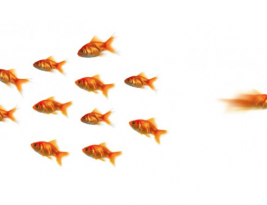 Pengikut Selalu Mengamati Tindakan Pemimpin