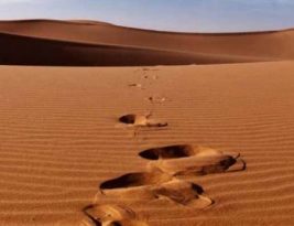 Berjuang Memberangkatkan Orang Tua Pergi ke Tanah Suci