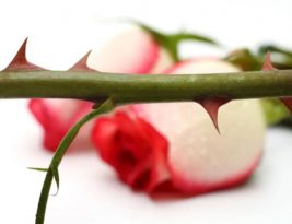 Kiat Menaklukkan Godaan Wanita Cantik