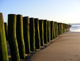 People Pleaser: Membahagiakan Yang Menyengsarakan