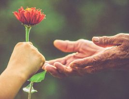 Belajar Dari Tiga Nabi